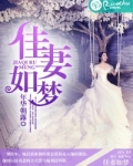 佳妻如梦