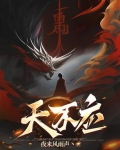 天不应小说讲的什么