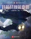 我的战舰模型