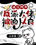快穿炮灰:反派大佬被迫从良