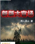 新版大官场