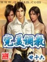 完美调教