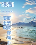 人家海上讨生活,我出海去进货怎么办