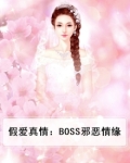 假爱真情：BOSS邪恶情缘