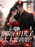 傅总别陪白月光了太太要离婚了